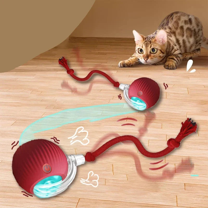 Brinquedo interativo para Gatos Feline Ball
